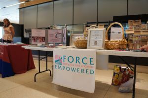 force_c2-12.jpg
